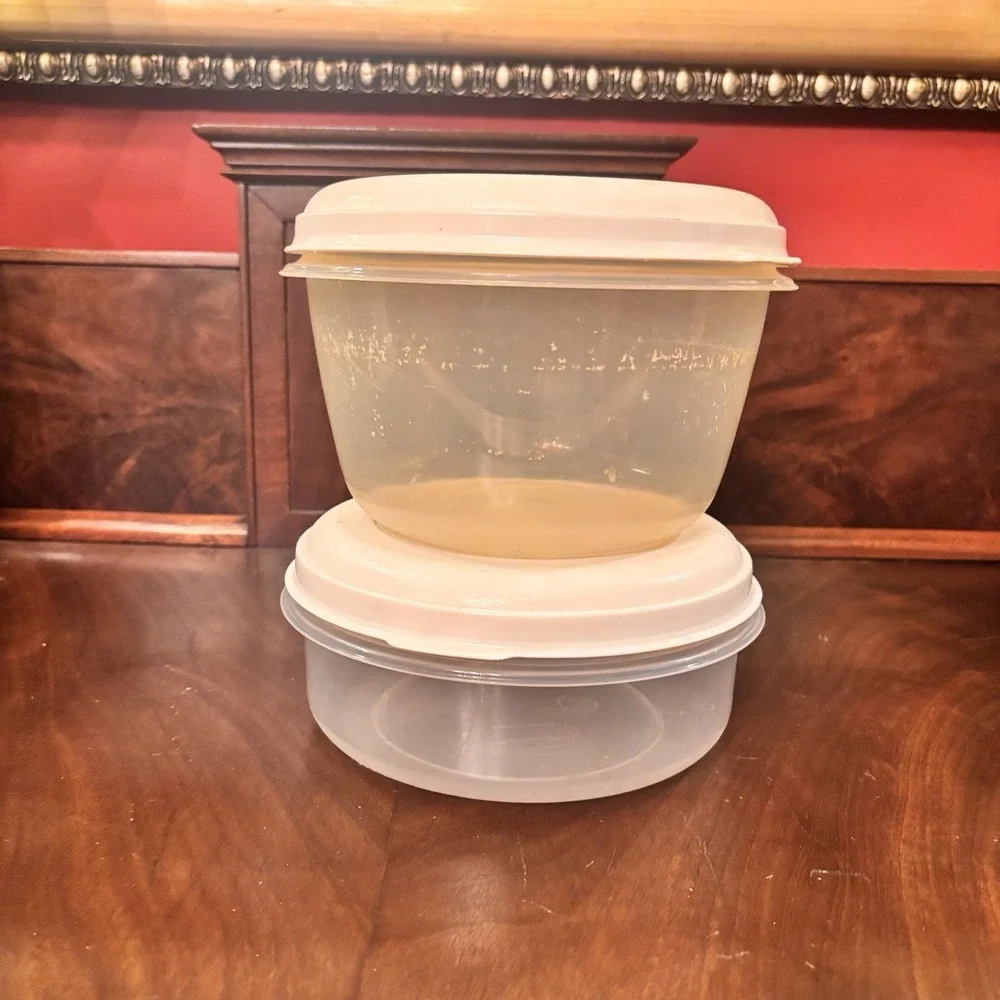 Vintage Rubbermaid Servin Saver #3 Containers 6 Cup 1.4 Qt Set of 2 w Lids